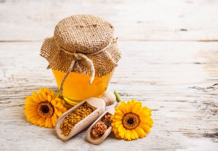 *** Sweet honey and yellow gerberas *** - nature, yellow, gerberas, flowers, flower