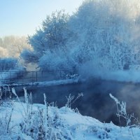 snowy trees and bridge