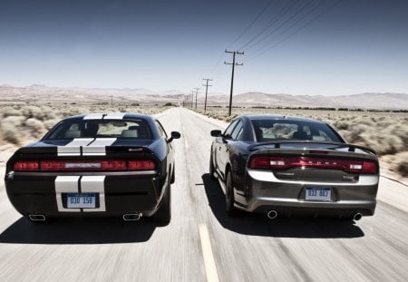 two dodge car belonging on the road - speed, road, cars, dodge