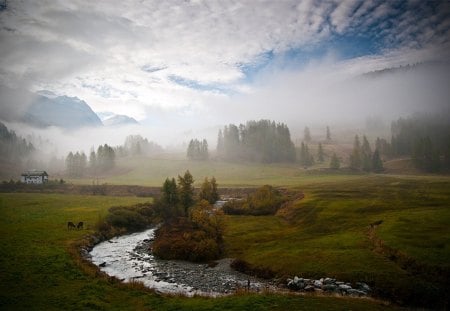 Morning has broken - dawn, river, foggy, landscapes, forest