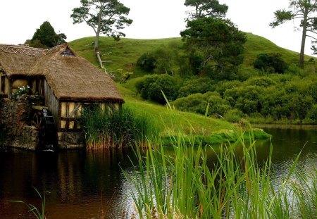 mill - houese, river, grass, tree