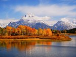 The Forest By The Mountains