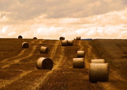 haymaking - sky, fields, clouds, grass