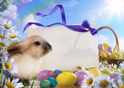 Happy Easter - beauty, sky, animals, sun, colorful, easter, happy easter, daisy, basket, bunny, eggs, rabbit, pretty, clouds, easter eggs, sunny, sunrays, egg, daisies, sunlight, lovely, nature, beautiful, animal, sweet, colors, flowers