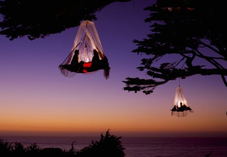 tree motel - couples, dusk, baskets, tree, tent