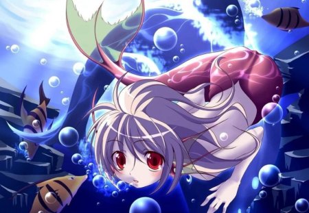 Mermaid (anime) - swim, mermaid, water, anime, cute