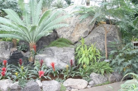 Flowers day at Edmonton Pyramids 30 - trees, photography, palm, rocks, red, green, leaves, flowers, bromeliads, garden