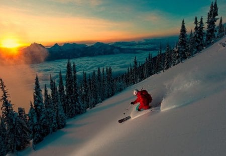 Into the sunset - trees, sunset, skier, snow, slope