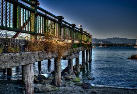 fenced terrace on the bay hdr - bird, fence, terrace, bay, boats, hdr