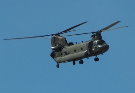 CH-47 Chinook Helicopter - helicopter, CH-47 Chinook Helicopter, CH-47, chopper