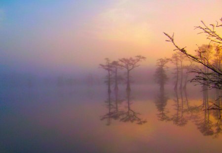 Golden Sunrise - colorful, cyress, sunrise, lake, golden, reflection, boating