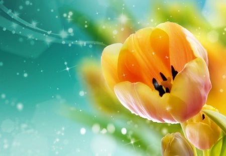 Yellow - artistic, yellow, magic, soft, tulip