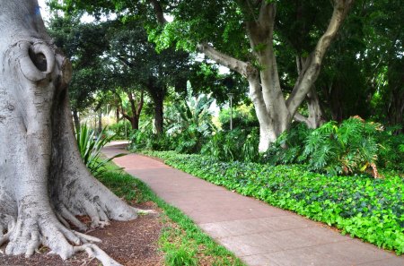 HYDE PARK PATHWAY - GRASS, PATH, TREE, GREEN