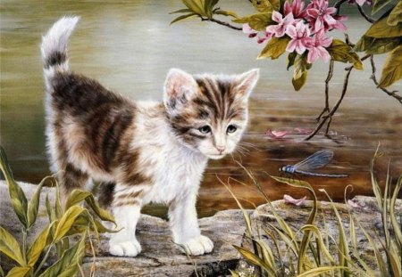 Discovery by Shirley Deaville - animals, bloom, spring, discovery, dragonfly, green, paintings, cute, lake, cat, draw and paint, lovely, kitten, nature, love four seasons, cats, blue, pink, animal, insect, flowers, flower