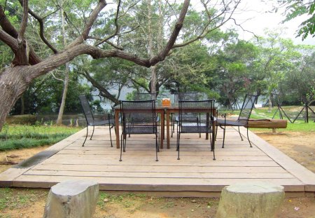 Outdoor Coffee Shop - Outdoor, Coffee Shop, tree, chair