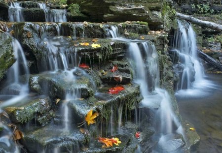 Waterfall in Autumn - leaves, water, stairs, creek