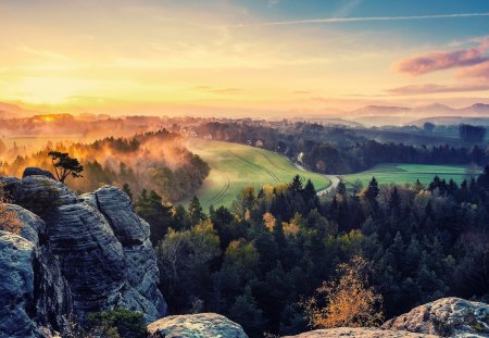 Morning Sun - trees, sunset, mist, landscape, colors, rocks, sky