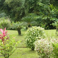 Green Fields from Grenada islands