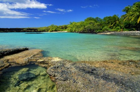 beautiful rocky shore in paradise - cove, shore, forest, rocks