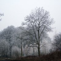 the road to cotswold england on a frosty morning