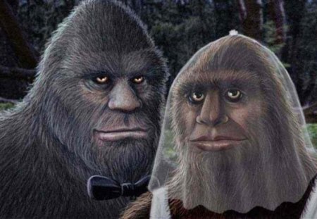 Mr and Mrs BigFoot