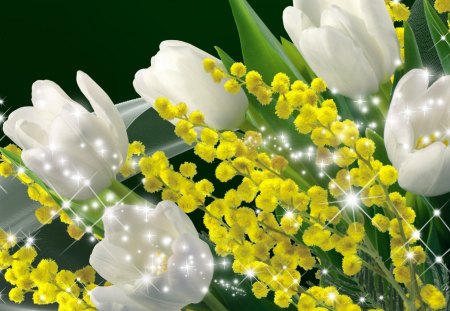 Tulips and Mimosa - fragrant, fleur, tulips, summer, bouquet, flowers, spring, mimosa