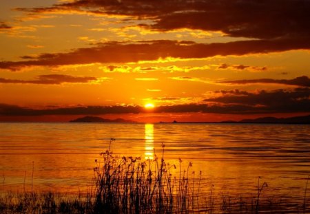 Sunset - nice, sky, water, sunset, amazing, reflection, pretty, river, clouds, orange, golden, lake, lovely, nature, glow, beautiful, sea, sunrise