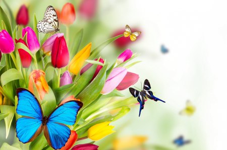 *** Happy spring time *** - nature, animals, butterflys, tulips, flowers