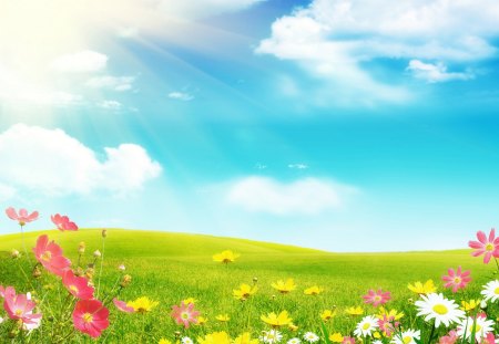 *** Spring on the meadow *** - nature, sky, blue, meadow, flowers, spring