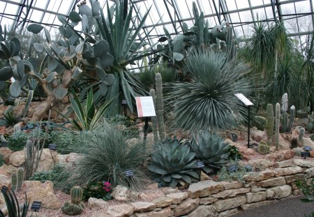 Garden day at Edmonton Pyramids 05 - garden, rocks, flowers, photography, cactus, green