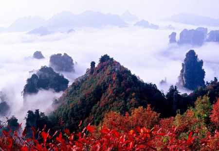 mystical mountain peaks in clouds - autumn, forest, clouds, mountains, peaks