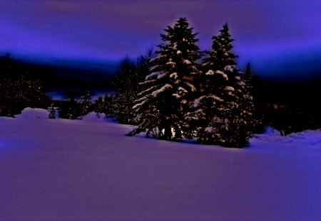 Dark Purple Winter 1920x1080 - purple, winter, trees, snow