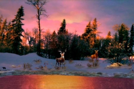 Frosty Pink Sunset 1920x1080 - Animals, Water, Nature, Lakes, Ponds, Winter, Deer, Sunsets