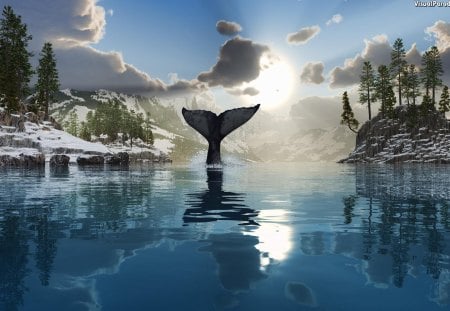 The refreshing cold summer - whale, oceans, water, summer