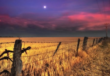 wheat fields at dusk - moon, fields, fence, wheat, dusk