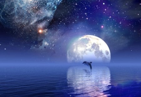 dolphins Star - dolphins, moon, water, stars