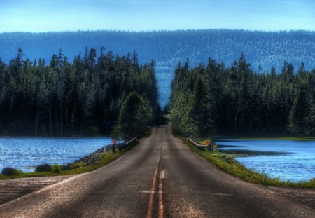 road in yellowstone montana - tree, road, mountain, river