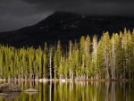 dark storm on mountain, sun on forest