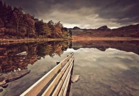 wooden fence in a beautiful lake - fence, lake, reflection, forest, clear