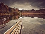 wooden fence in a beautiful lake