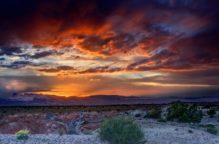 fabulous twilight over desert - clouds, sunset, mountains, desert, bushes