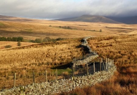 stone wall winding through the meadows - clouds, meadows, grass, walls, stones