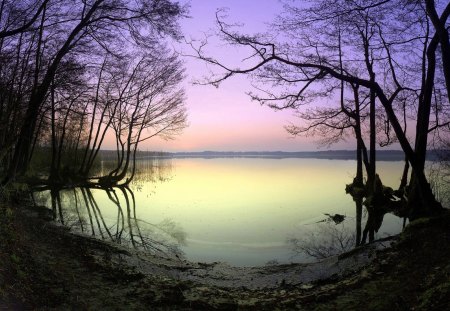 lake in pastel colors - lake, trees, colors, shore