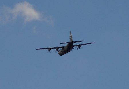 C-130 Flying High - aircraft, military cargo plane, plane, c-130