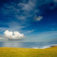 On The Seaside Fields