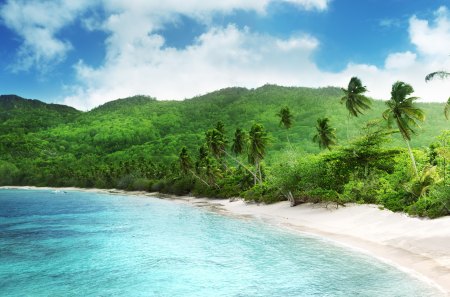 Beautiful Place - summer, beach, splendor, sand, view, exotic, paradise, sky, clouds, palms, trees, beautiful, sea, summer time, beauty, lovely, ocean, nature, tropical, green, tropical beach, peaceful