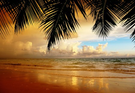 Sunset - summer, beach, splendor, sand, view, ocean waves, exotic, paradise, sky, clouds, palms, beautiful, sea, summer time, beauty, lovely, ocean, nature, sunset, tropical, waves, tropical beach, peaceful