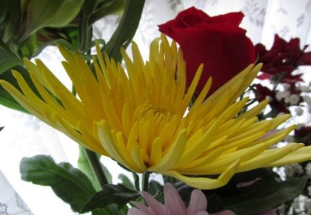 Yellow Spikes - Flora, Yellow, Flowers, Blooms