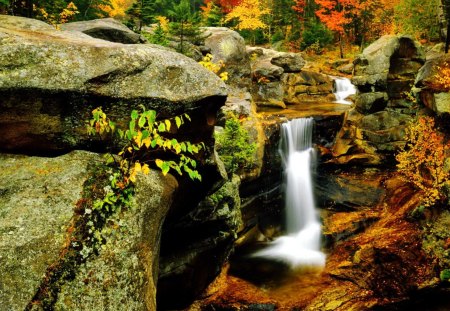 Forest fall - nice, autumn, trees, water, stream, waterfall, rocks, quiet, fall, calmness, pretty, falling, lovely, nature, forest, beautiful, stones, colors