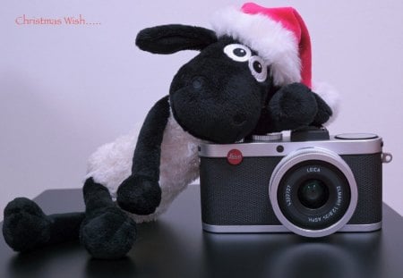 Christmas wish... - christmas, sheep, camera, photo, christmas wish